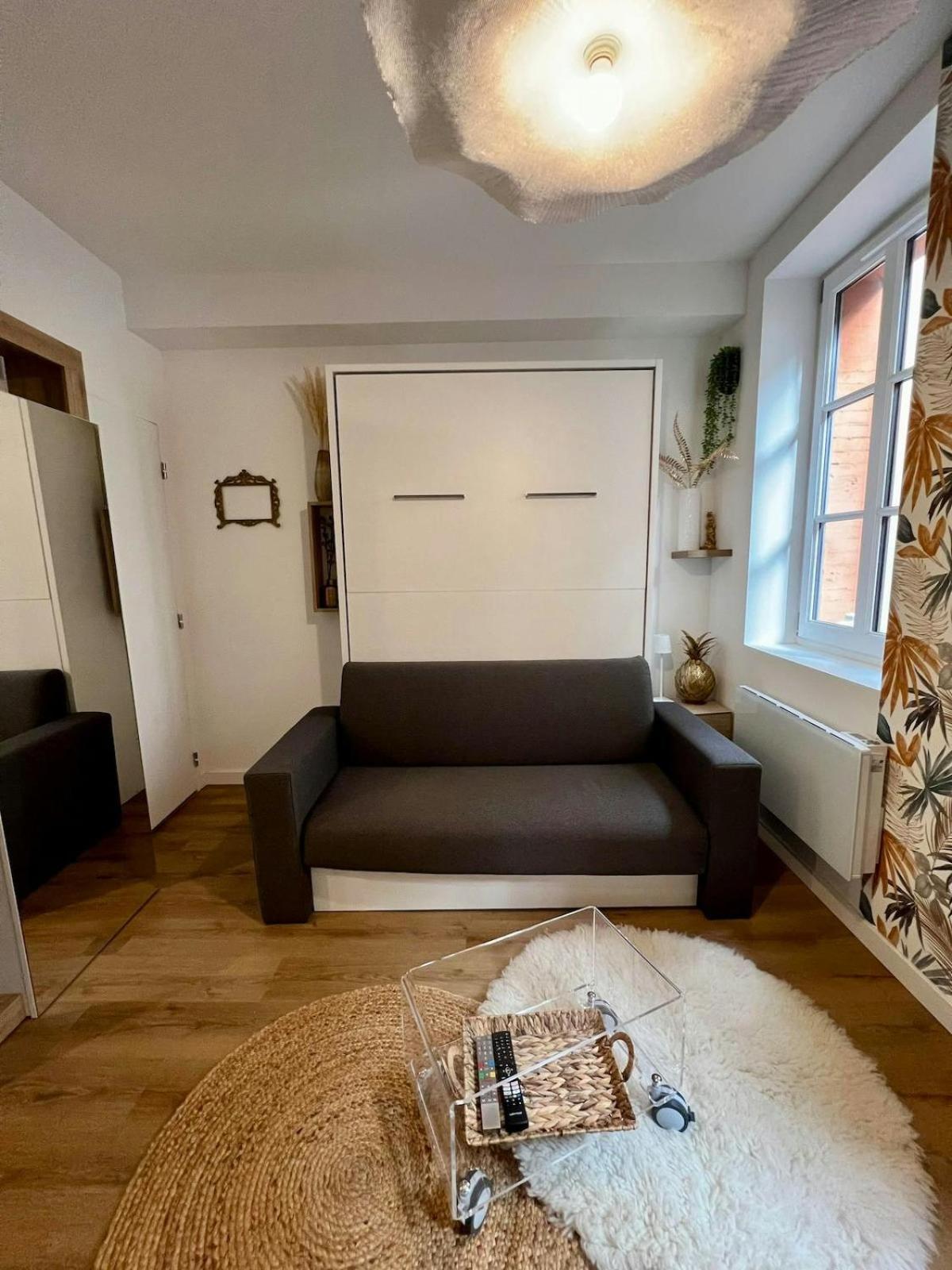 툴루즈 Casa Nostra - T1 - Terrasse Privative 아파트 외부 사진